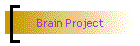 Brain Project