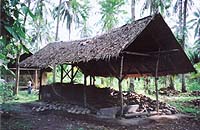coconut hut