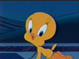 Tweety Pictures! ~ Tweety's High Flying Adventure Gallery - 1