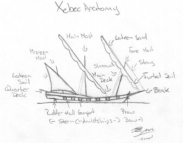 Xebec anatomy