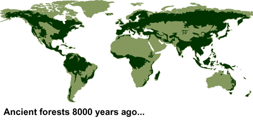 global_forests.gif